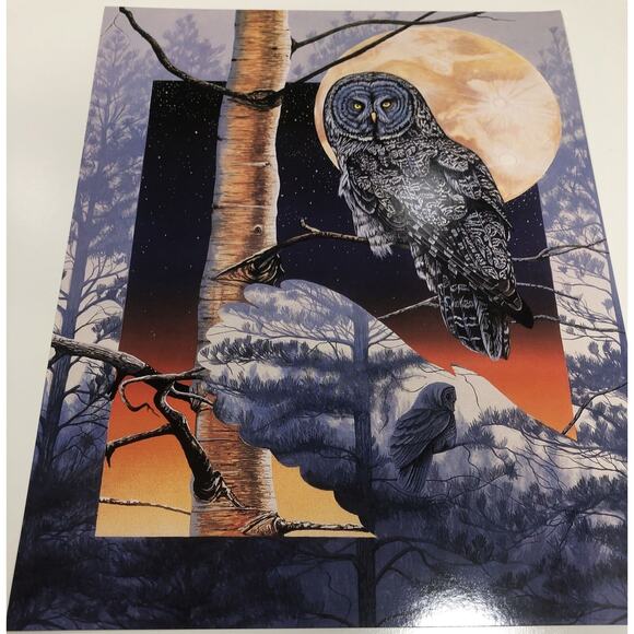 1996 Wild Animals Folder And 6 Posters USA Fox Owl Wolves Windows To The Wild - Picture 7 of 9
